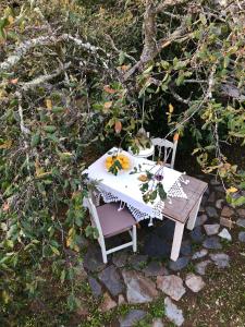 Vonkajšia záhrada v ubytovaní Glamping - La Casa del Piano