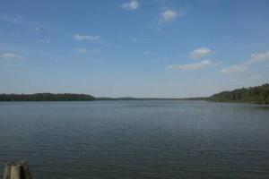 a view of a large body of water at Domek in Smołdziński Las