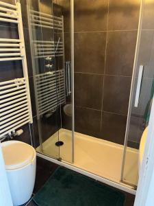 y baño con ducha y puerta de cristal. en Luxe seaview appartment, en Blankenberge
