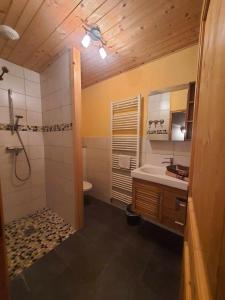 uma casa de banho com um chuveiro, um lavatório e um WC. em La Fée Verte em Arc-sous-Cicon