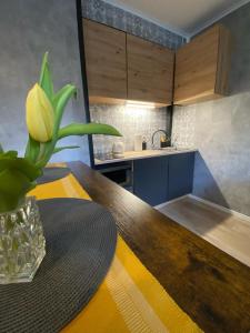 a kitchen with a table and a vase with a plant at Apartament Asspazja in Stronie Śląskie