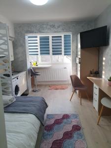 - une chambre avec un lit, un bureau et des fenêtres dans l'établissement Studio Mira, à Onești