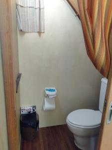 ein Bad mit einem WC und einem Duschvorhang in der Unterkunft ゲストハウスジェイズ in Amagi