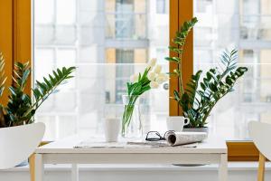 a table with glasses and plants on it in front of a window at Masarska Bright Studio Old Town Cracow by Renters in Krakow