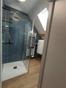 een badkamer met een douche en een glazen deur bij Duplex F2 au pied des pistes du lac blanc in Orbey