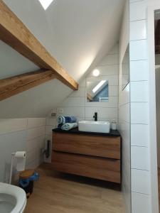 een badkamer met een wastafel en een toilet bij Duplex F2 au pied des pistes du lac blanc in Orbey