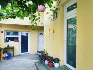 Zahrada ubytování Summer Vibe - Apartament la curte