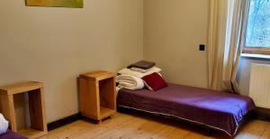 Kleines Zimmer mit einem Bett und einem Fenster in der Unterkunft Inovatorių slėnis/ Innovators' valley in Antalieptė
