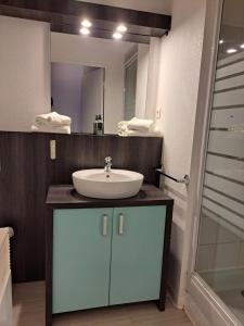 La salle de bains est pourvue d'un lavabo et d'un miroir. dans l'établissement Résidence Les Académies Aixoise, à Aix-en-Provence