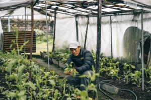 Gäste, die in der Unterkunft Mountain Lodges of Nepal - Lukla übernachten