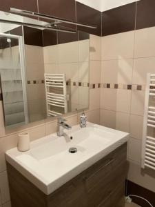 uma casa de banho com um lavatório branco e um espelho. em Bel Appartement en plein cœur de Folelli em Penta-di-Casinca
