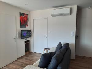 Μια τηλεόραση ή/και κέντρο ψυχαγωγίας στο Le cosy
