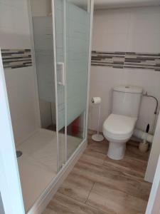 a bathroom with a toilet and a glass shower at Studio standing classé avec terrasse vue mer " les pieds dans l'eau " à Algajola in Algajola