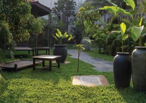 Taman di luar Red Thread Morjim