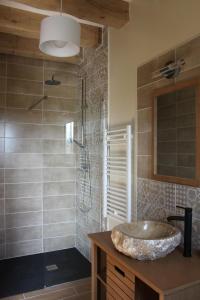 een badkamer met een wastafel en een douche bij Le Chainous in Pouillé