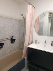 ein Bad mit einem Waschbecken und einer Dusche mit einem Spiegel in der Unterkunft Appartement 40m2 Immense Terrasse Angle Piscine Juan les Pins in Antibes