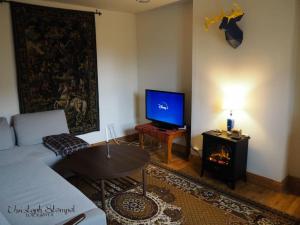 sala de estar con sofá y TV en Stonechat Cottage - Portmagee en Portmagee