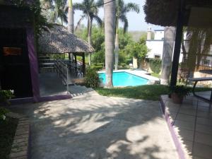 Barranca的住宿－QUINTA CARLOTITA，一座带棕榈树游泳池的房子