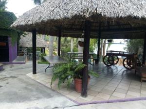 Barranca的住宿－QUINTA CARLOTITA，一个带草伞、桌子和长凳的庭院