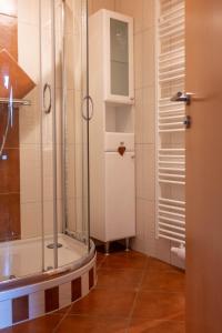 a shower with a glass door in a bathroom at der Lamprechthof in Eisentratten