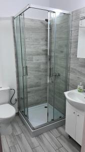 Koupelna v ubytování Summer Vibe - Apartament la curte