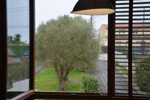 Κήπος έξω από το Apartamento lagartiño