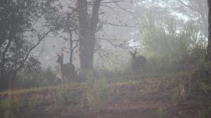 Foto dalla galleria di O' Cocooning - Appart dans Bastide proche Aix a Rousset