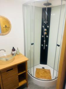 W łazience znajduje się prysznic, umywalka i lustro. w obiekcie Chambre Chalet de Thau w mieście Balaruc-le-Vieux