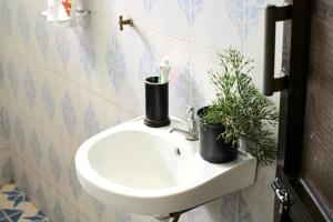 ein Badezimmer mit einem Waschbecken mit zwei Pflanzen in der Unterkunft Stay in Bomang'ombe with Breakfast in Moshi