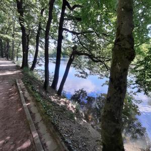 Příroda nedaleko apartmánu