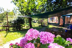 A garden outside B&B Cadrecca Tra Terra Luna e Mare