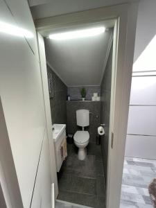 een kleine badkamer met een toilet en een wastafel bij Családi Fészek in Gárdony