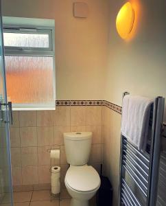 a bathroom with a white toilet and a window at 133B HiBrid Home in Oxford