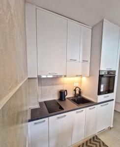 Kuchyň nebo kuchyňský kout v ubytování GOFD Apartman Zlatibor