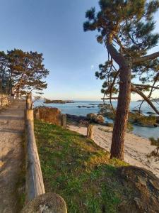 een houten hek naast een strand met een boom bij Apartamento Playa de Coroso in Ribeira