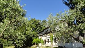 ヴェッレトリにあるPiccola Volpeの木々の家