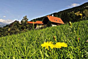 a field of grass with yellow flowers in front of a house at der Lamprechthof in Eisentratten