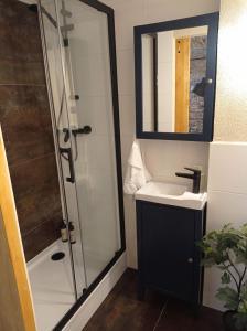 a bathroom with a shower and a sink and a mirror at Przytulne Studio 5 z parkingiem in Katowice