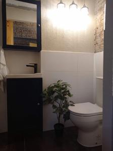 a bathroom with a toilet and a potted plant at Przytulne studio z parkingiem in Katowice