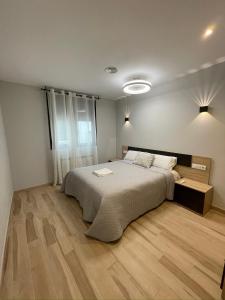 a bedroom with a large bed and a wooden floor at Casa Alberto 2 drch in Tudela