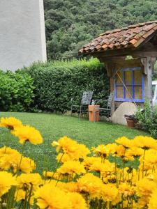 a bunch of yellow flowers in a yard with a gazebo at Posada El Azufral in Cambarco