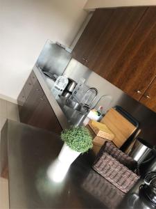 Kuchyň nebo kuchyňský kout v ubytování Salgados Apartment