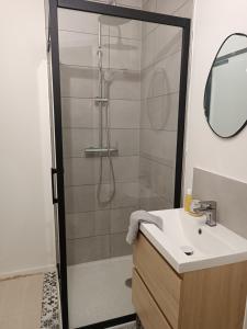 ein Bad mit einer Dusche und einem Waschbecken in der Unterkunft Studio totalement meublé L'ethnique 
