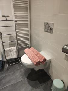 een badkamer met een toilet en een handdoekenrek bij Yuki in Zandvoort