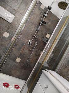 a shower in a bathroom with a wooden floor at B&B Domus de Janas Santa Teresa Gallura in Santa Teresa Gallura
