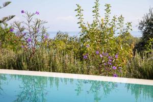 ChlomósにあるVilla Alkyoni Mareのギャラリーの写真