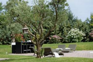 a tree with a bird feeder on it in a park at la villa d'Ariane-piscine-jaccuzi-15 mn Mer in Vendargues