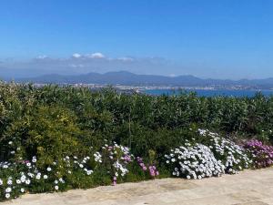 Fotografia z galérie ubytovania Stunning Sea View Cote d'Azur Villa - Rives d'Or v destinácii Fréjus