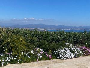 - un jardin fleuri avec vue sur l'eau dans l'établissement Stunning Cote d'Azur Villa - Rives d'Or, à Fréjus