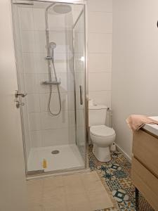 ein Bad mit einer Dusche und einem WC in der Unterkunft Studio totalement meublé Le nordique 